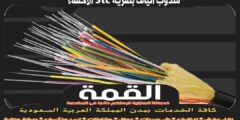 مندوب الياف بصرية stc الاحساء الأكثر تقييما عام ٢٠٢٤ | القمة لتركيب الفايبر