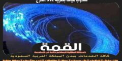 مندوب الياف بصرية stc الخرج الأكثر تقييما عام ٢٠٢٤ | القمة لتركيب الفايبر